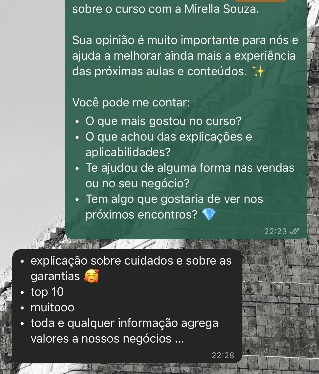Depoimento via WhatsApp de Aluna NEF Academy